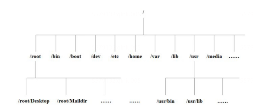 Linux文件结构